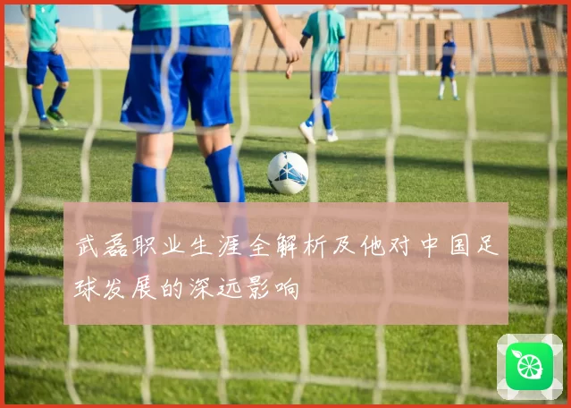 武磊职业生涯全解析及他对中国足球发展的深远影响