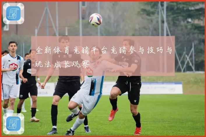 全新体育竞猜平台竞猜参与技巧与玩法成长观察