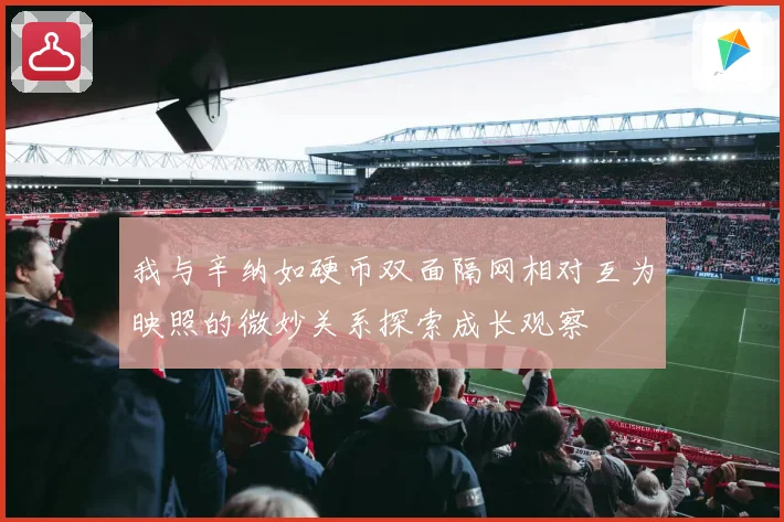 我与辛纳如硬币双面隔网相对互为映照的微妙关系探索成长观察