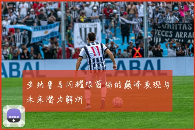 多纳鲁马闪耀绿茵场的巅峰表现与未来潜力解析