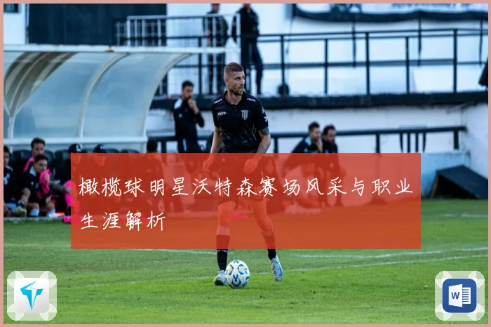 橄榄球明星沃特森赛场风采与职业生涯解析