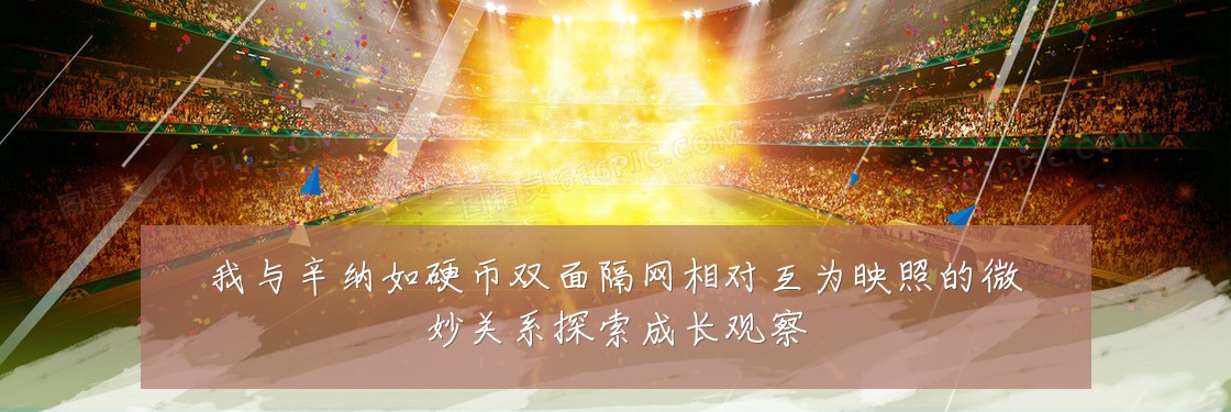 我与辛纳如硬币双面隔网相对互为映照的微妙关系探索成长观察